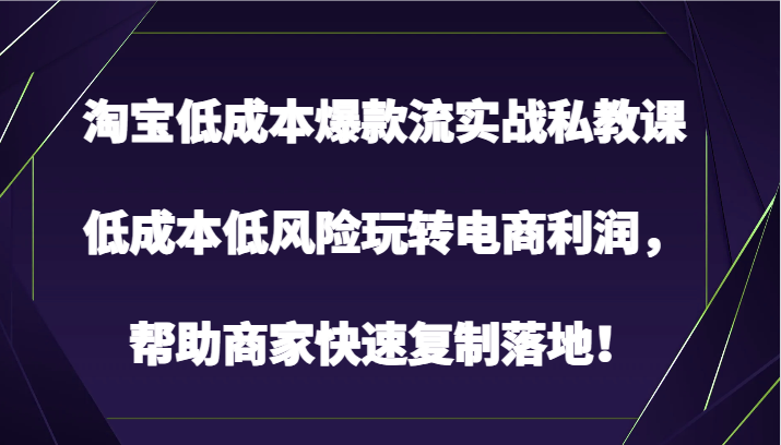 淘宝低成本爆款流实战私教课，低成本低风险玩转电商利润，帮助商家快速复制落地！ - 白戈学堂-<a href=