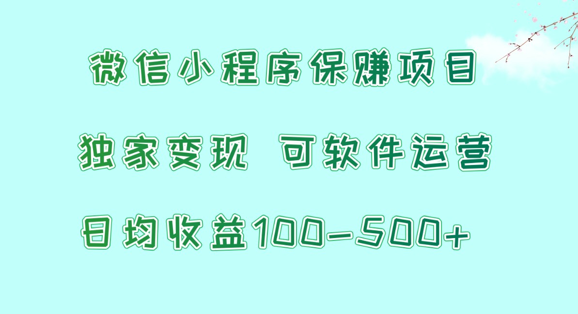 微信小程序保赚项目，日均收益100~500+，独家变现，可软件运营 - 白戈学堂-<a href=