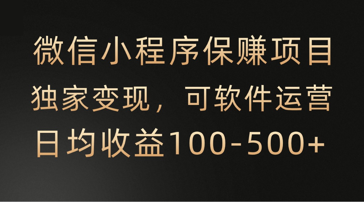 微信小程序，腾讯保赚项目，可软件自动运营，日均100-500+收益有保障 - 白戈学堂-<a href=