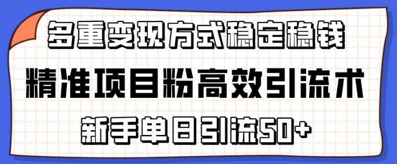 精准项目粉高效引流术，新手单日引流50+，多重变现方式稳定赚钱 - 白戈学堂-<a href=