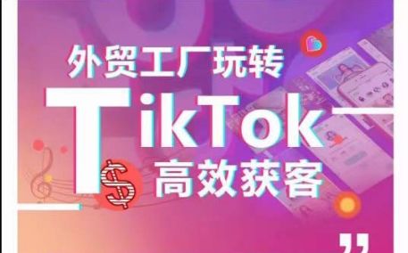 外贸工厂玩转TikTok高效获客，多种引流方式与账号定位技巧，拆解爆款短视频打造成功案例 - 白戈学堂-<a href=