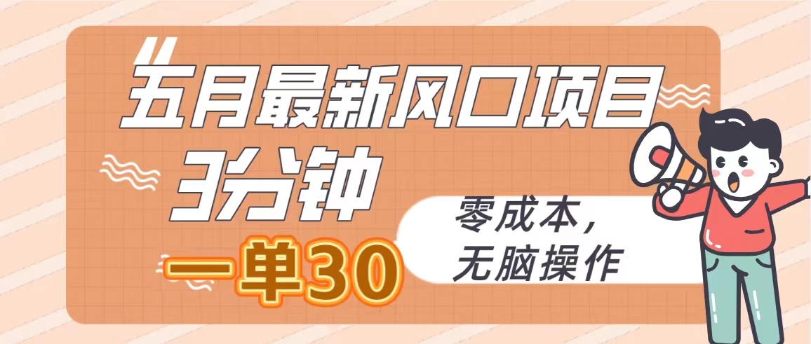 （10256期）五月最新风口项目，3分钟一单30，零成本，无脑操作 - 白戈学堂-<a href=