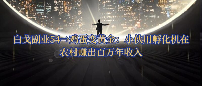 白戈副业54→鸡蛋变黄金：小伙用孵化机在农村赚出百万年收入 - 白戈学堂-白戈学堂