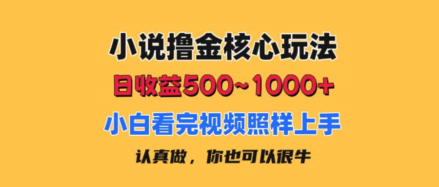 （11461期）小说撸金核心玩法，日收益500-1000+，小白看完照样上手，0成本有手就行 - 白戈学堂-<a href=