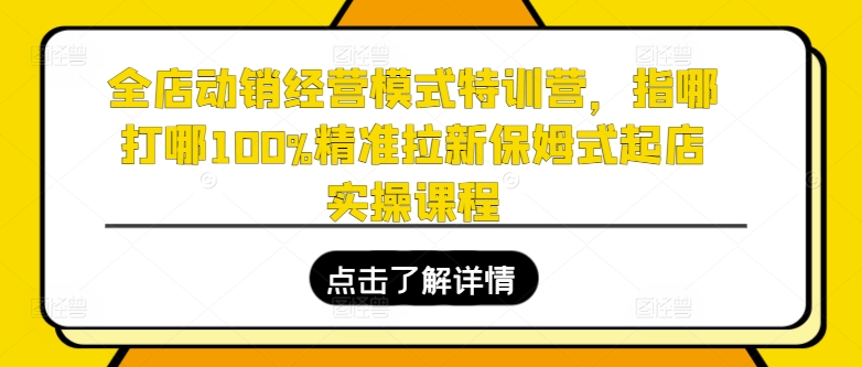 全店动销经营模式特训营，指哪打哪100%精准拉新保姆式起店实操课程 - 白戈学堂-<a href=