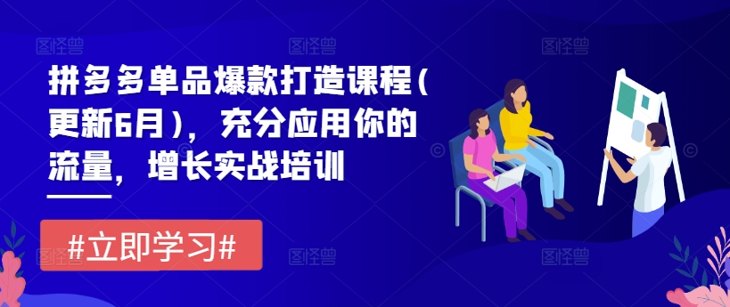 拼多多单品爆款打造课程(更新6月)，充分应用你的流量，增长实战培训 - 白戈学堂-<a href=