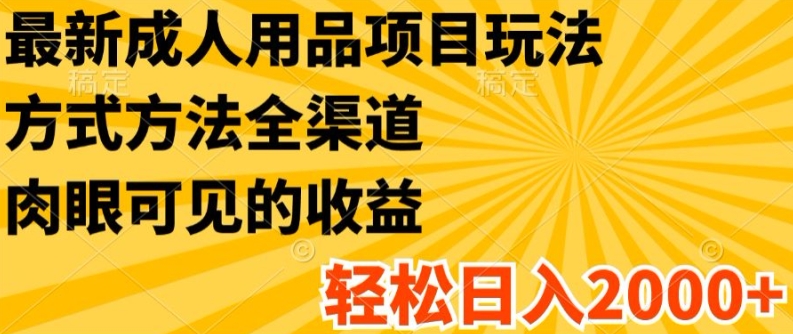 最新成人用品项目玩法，方式方法全渠道，轻松日入2K+ - 白戈学堂-<a href=