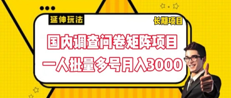 国内调查问卷矩阵项目，一人批量多号月入3000 - 白戈学堂-<a href=