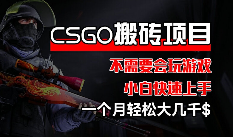 CSGO 装备搬砖项目，操作简单，不需要会玩游戏，小白也能快速上手，一个月轻松大几千 - 白戈学堂-<a href=