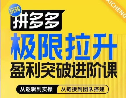 拼多多极限拉升盈利突破进阶课，​从算法到玩法，从玩法到团队搭建，体系化系统性帮助商家实现利润提升 - 白戈学堂-<a href=