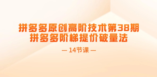 （11704期）拼多多原创高阶技术第38期，拼多多阶梯提价破量法（14节课） - 白戈学堂-<a href=