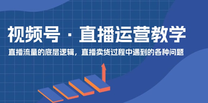 （11687期）视频号 直播运营教学：直播流量的底层逻辑，直播卖货过程中遇到的各种问题 - 白戈学堂-<a href=