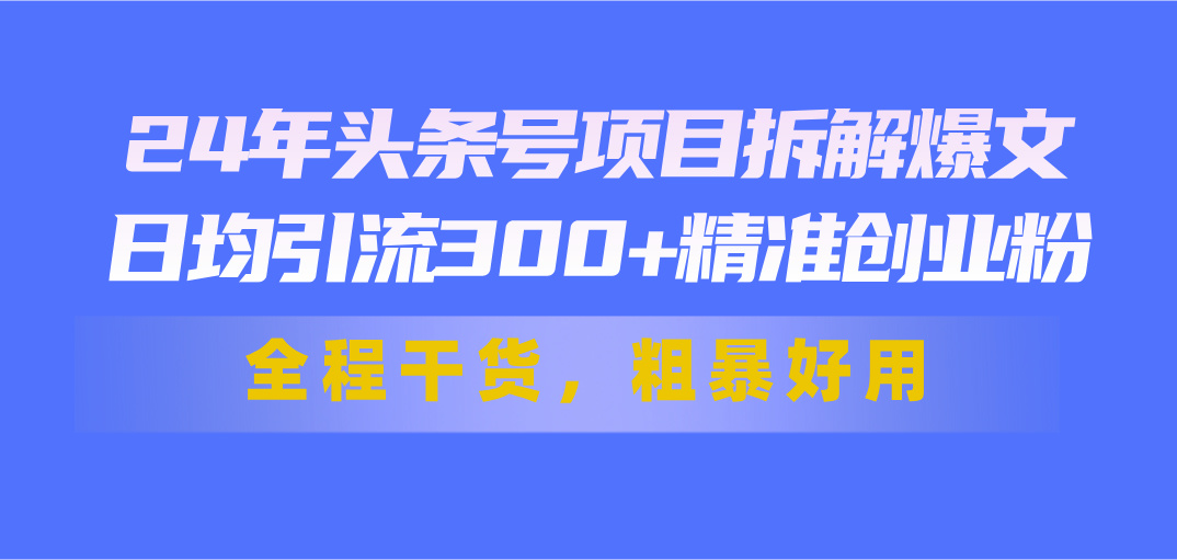 （11397期）24年头条号项目拆解爆文，日均引流300+精准创业粉，全程干货，粗暴好用 - 白戈学堂-<a href=