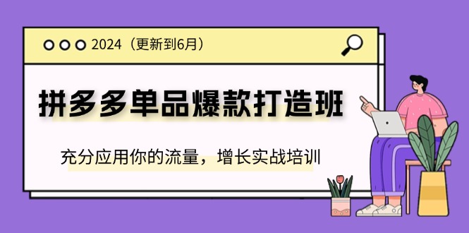 （11556期）2024拼多多-单品爆款打造班(更新6月)，充分应用你的流量，增长实战培训 - 白戈学堂-<a href=