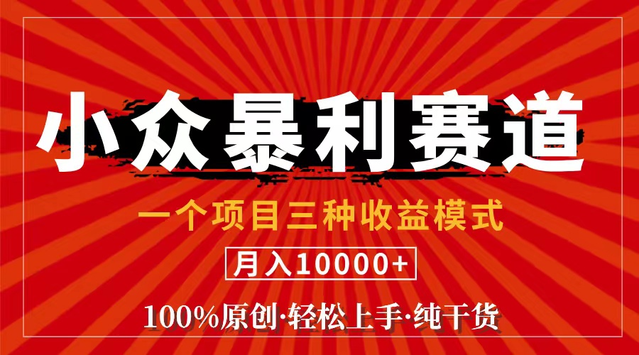 （11695期）视频号【中老年粉深信不疑】小众赛道 100%原创 手把手教学 新号3天收益… - 白戈学堂-<a href=