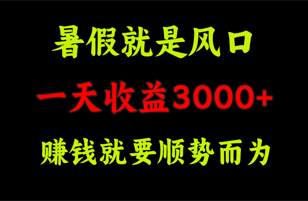 （11670期）一天收益3000+ 赚钱就是顺势而为，暑假就是风口 - 白戈学堂-<a href=