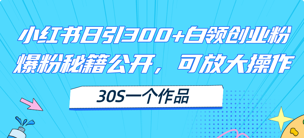 （11692期）小红书日引300+高质白领创业粉，可放大操作，爆粉秘籍！30s一个作品 - 白戈学堂-<a href=