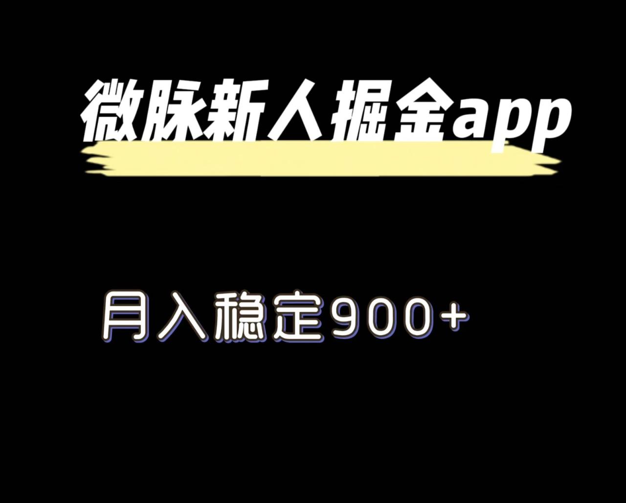 最新微脉长久项目，拉新掘金，月入稳定900+ - 白戈学堂-<a href=