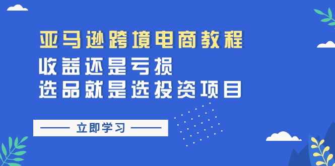 亚马逊跨境电商教程：收益还是亏损！选品就是选投资项目 - 白戈学堂-<a href=