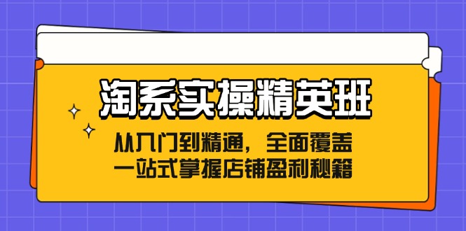 淘系实操精英班：从入门到精通，全面覆盖，一站式掌握店铺盈利秘籍 - 白戈学堂-白戈学堂