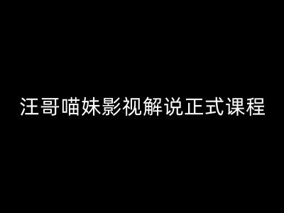 汪哥影视解说正式课程：剪映/PR教学/视解说剪辑5大黄金法则/全流程剪辑7把利器等等 - 白戈学堂-白戈学堂