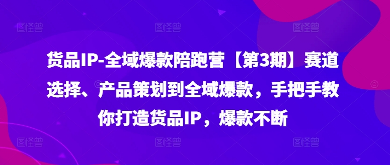 货品IP全域爆款陪跑营【第3期】赛道选择、产品策划到全域爆款，手把手教你打造货品IP，爆款不断 - 白戈学堂-白戈学堂