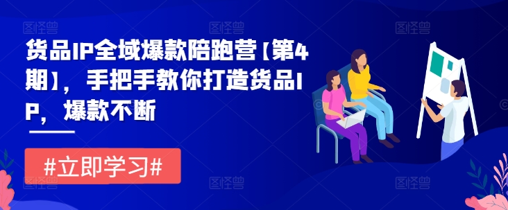 货品IP全域爆款陪跑营【第4期】，手把手教你打造货品IP，爆款不断 - 白戈学堂-白戈学堂