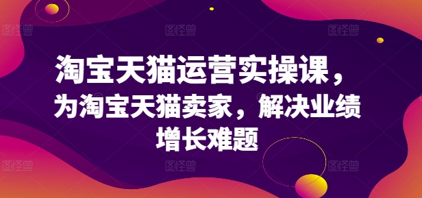 淘宝天猫运营实操课，为淘宝天猫卖家，解决业绩增长难题 - 白戈学堂-白戈学堂