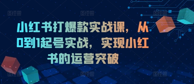 小红书打爆款实战课，从0到1起号实战，实现小红书的运营突破 - 白戈学堂-白戈学堂