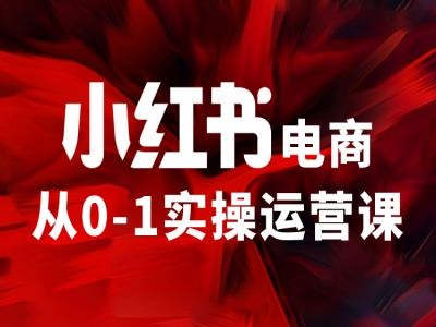 小红书电商从0-1实操运营课，让你从小白到精英 - 白戈学堂-白戈学堂