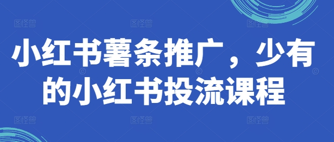 小红书薯条推广，少有的小红书投流课程 - 白戈学堂-白戈学堂