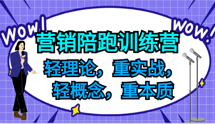 营销陪跑训练营，轻理论，重实战，轻概念，重本质，适合中小企业和初创企业的老板 - 白戈学堂-白戈学堂