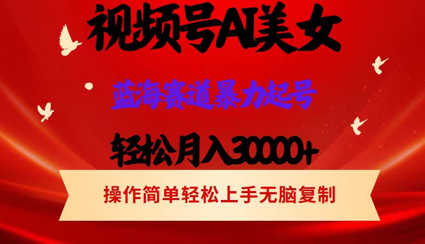 （12178期）视频号AI美女跳舞，轻松月入30000+，蓝海赛道，流量池巨大，起号猛，当… - 白戈学堂-白戈学堂