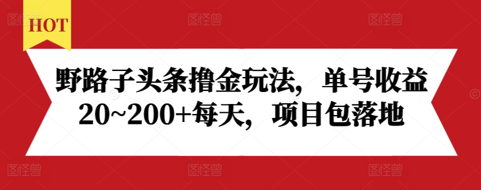 野路子头条撸金玩法，单号收益20~200+每天，项目包落地 - 白戈学堂-白戈学堂