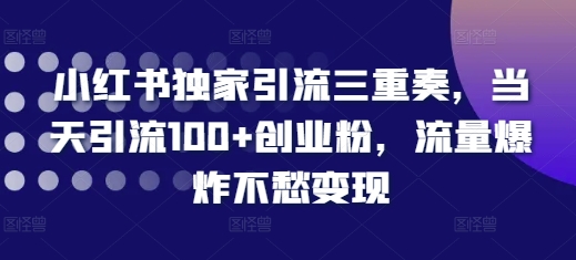 小红书独家引流三重奏，当天引流100+创业粉，流量爆炸不愁变现 - 白戈学堂-白戈学堂