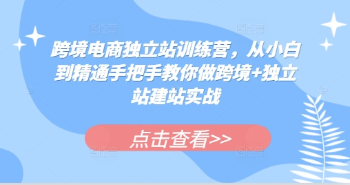 跨境电商独立站训练营，从小白到精通手把手教你做跨境+独立站建站实战 - 白戈学堂-白戈学堂