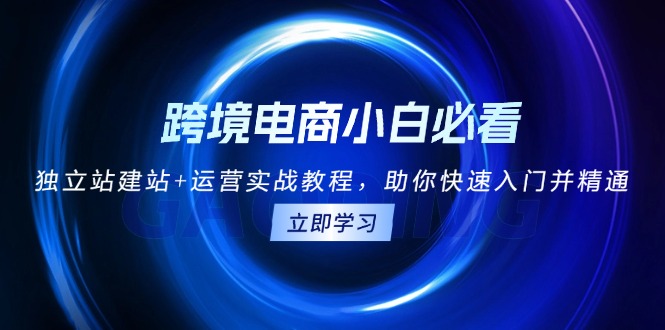 （13503期）跨境电商小白必看！独立站建站+运营实战教程，助你快速入门并精通 - 白戈学堂-白戈学堂