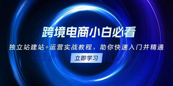 跨境电商小白必看！独立站建站+运营实战教程，助你快速入门并精通 - 白戈学堂-白戈学堂