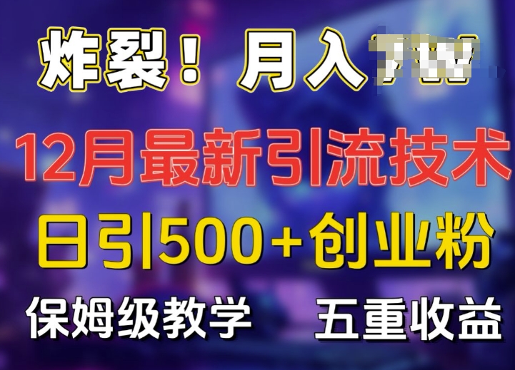 炸裂!揭秘12月最新日引流500+精准创业粉，多重收益保姆级教学 - 白戈学堂-白戈学堂