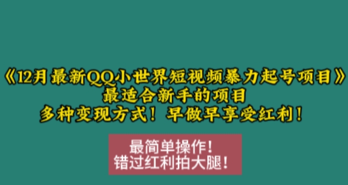 12月最新QQ小世界短视频暴力起号项目，最适合新手的项目，多种变现方式 - 白戈学堂-白戈学堂