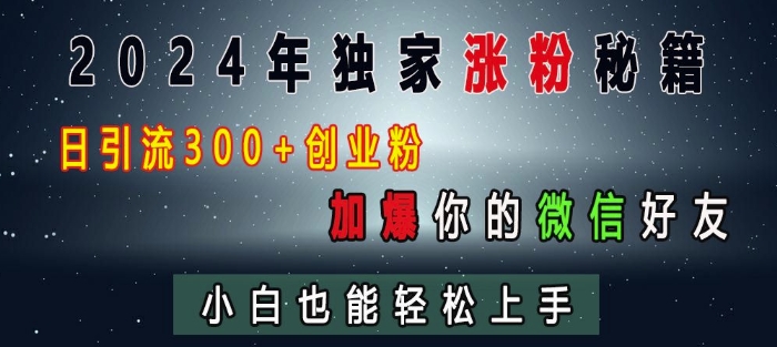 2024年独家涨粉秘籍，日引流300+创业粉，加爆你的微信好友，小白也能轻松上手 - 白戈学堂-白戈学堂