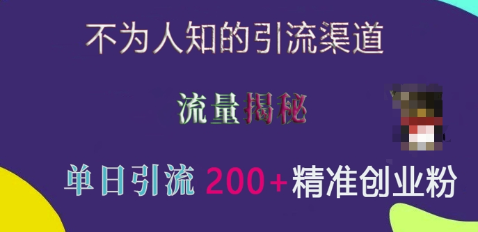 不为人知的引流渠道，流量揭秘，实测单日引流200+精准创业粉 - 白戈学堂-白戈学堂