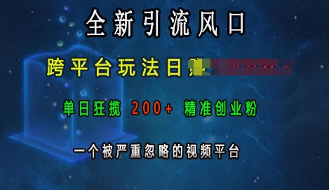 全新引流风口，跨平台玩法日入上k，单日狂揽200+精准创业粉，一个被严重忽略的视频平台 - 白戈学堂-白戈学堂