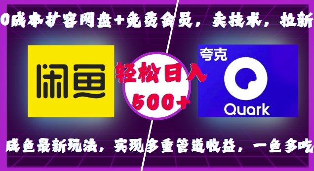 0成本扩容网盘+免费会员，卖技术，拉新，咸鱼最新玩法，实现多重管道收益，一鱼多吃，轻松日入500+ - 白戈学堂-白戈学堂