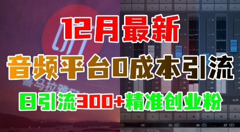 12月最新：音频平台0成本引流，日引流300+精准创业粉 - 白戈学堂-白戈学堂