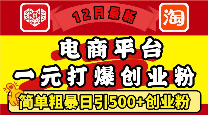 12月最新：电商平台1元打爆创业粉，简单粗暴日引500+精准创业粉，轻松月入过W - 白戈学堂-白戈学堂