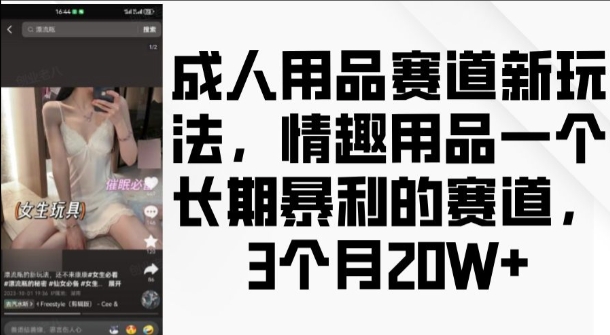 成人用品赛道新玩法，情趣用品一个长期暴利的赛道，3个月收益20个 - 白戈学堂-白戈学堂