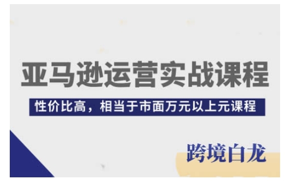 亚马逊运营实战课程，亚马逊从入门到精通，性价比高，相当于市面万元以上元课程 - 白戈学堂-白戈学堂