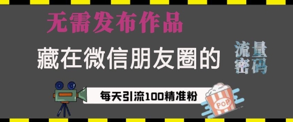 藏在微信朋友圈的流量密码，无需发布作品，单日引流100+精准创业粉-白戈学堂