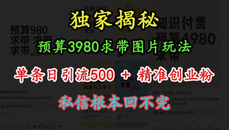 预算3980求带 图片玩法，单条日引流500+精准创业粉，私信根本回不完 - 白戈学堂-白戈学堂